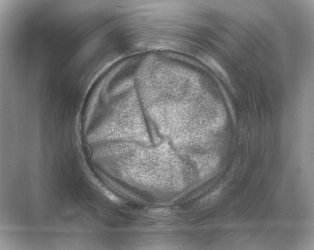 X0000068280798200605121910