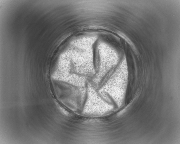 X0000068280801200605121910