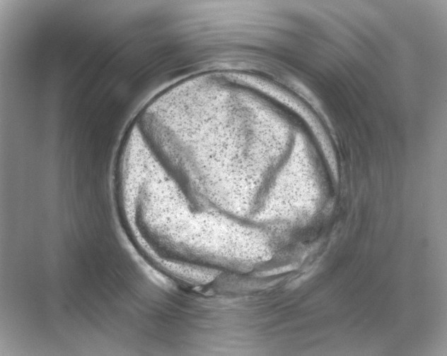 X0000068280803200605121910