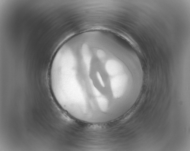 X0000068280806200605121910