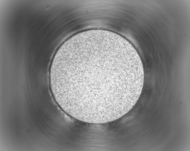 X0000068280807200605121910