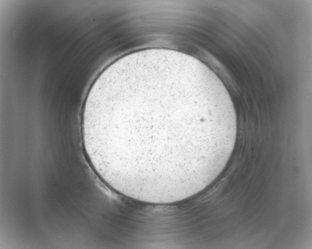 X0000068280808200605121910