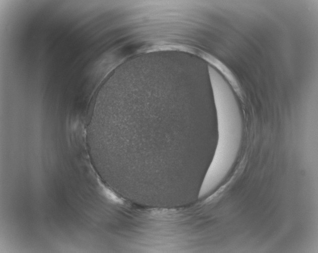 X0000068280809200605121910