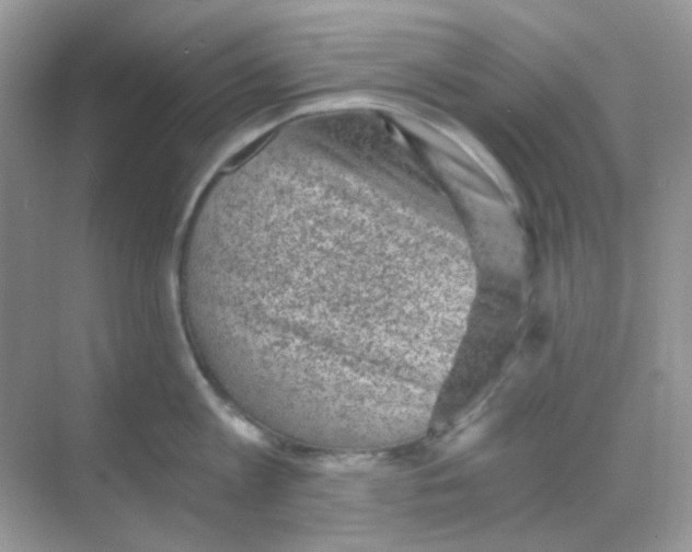 X0000068280813200605121910