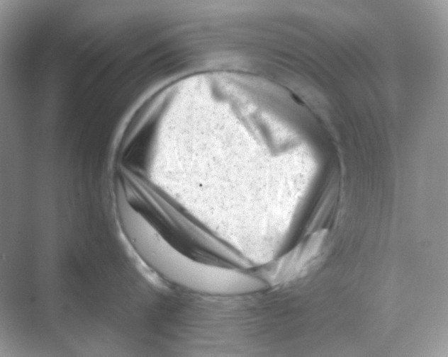 X0000068280816200605121910