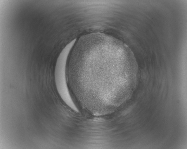 X0000068280818200605121909