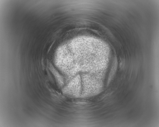 X0000068280819200605121909