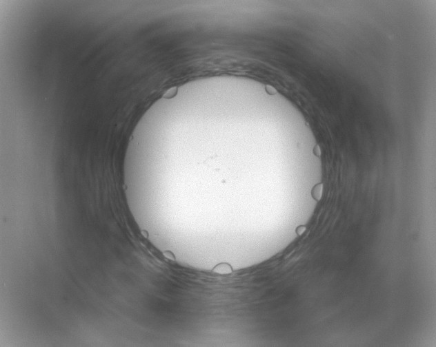 X0000068280820200605121909