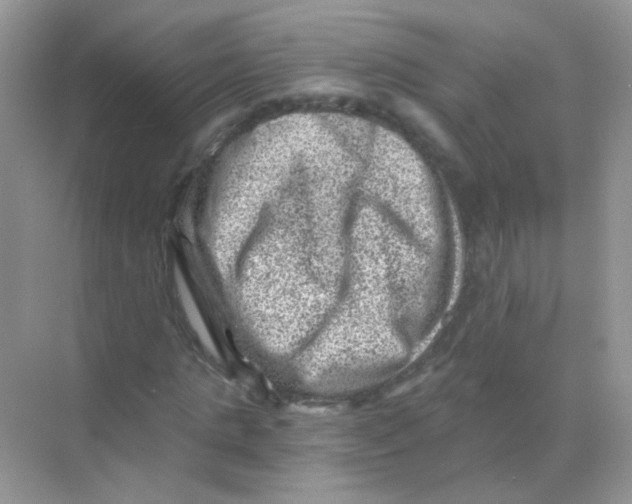 X0000068280821200605121909