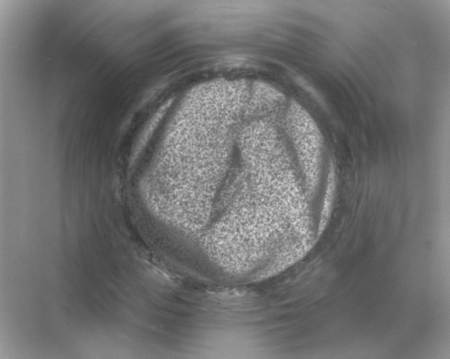 X0000068280823200605121909