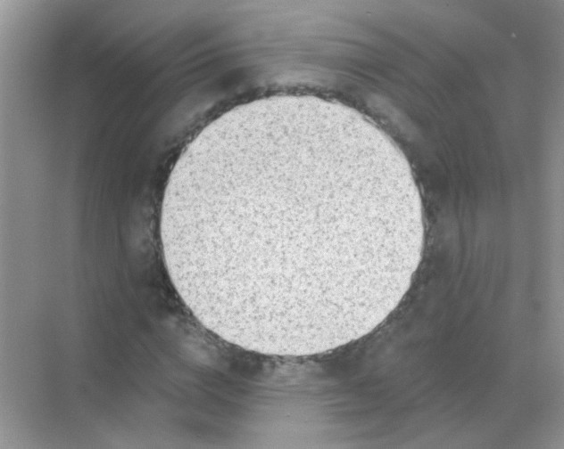 X0000068280824200605121909