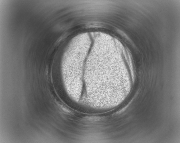 X0000068280825200605121909