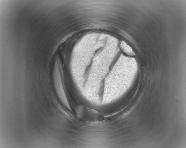 X0000068280826200605121909