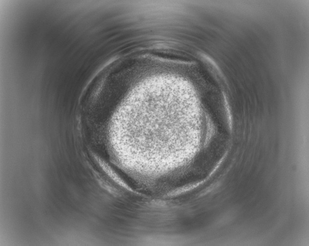 X0000068280827200605121909