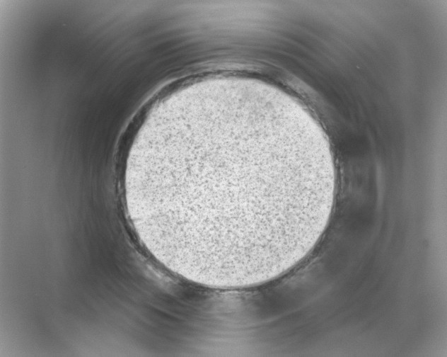 X0000068280828200605121910