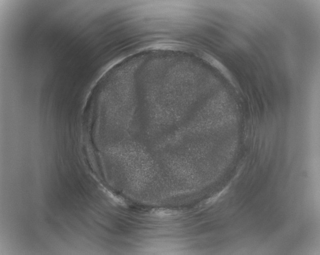 X0000068280829200605121910