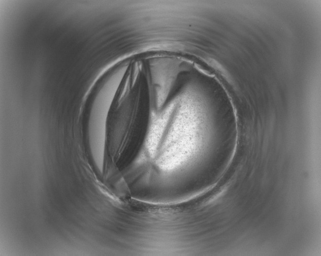 X0000068280830200605121910