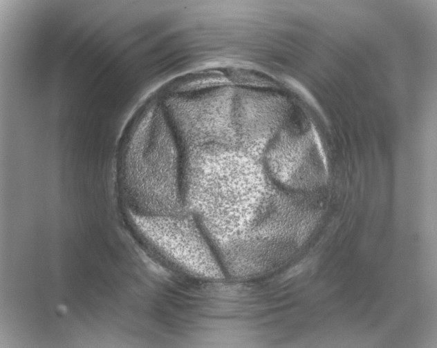 X0000068280831200605121910