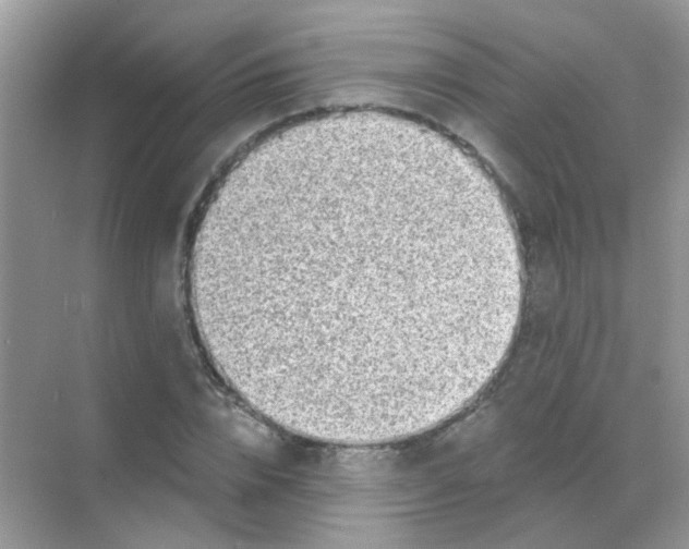 X0000068280832200605121910