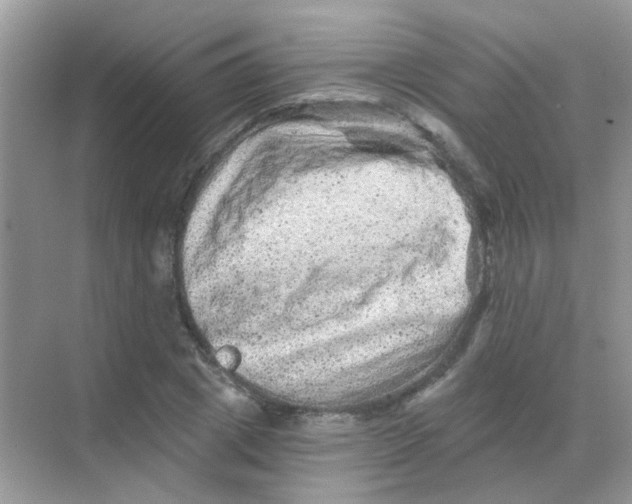 X0000068280833200605121910