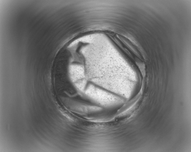 X0000068280834200605121910