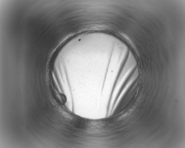 X0000068280835200605121910