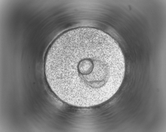 X0000068280836200605121910