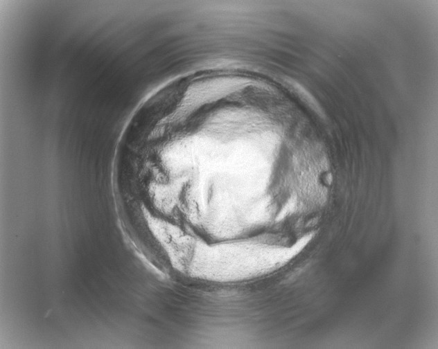 X0000068280839200605121910