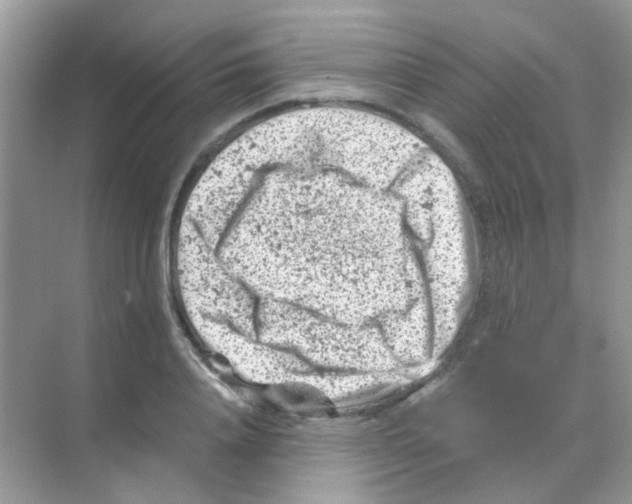 X0000068280840200605121910