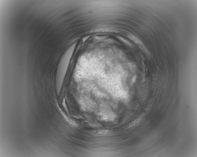 X0000068280841200605121910