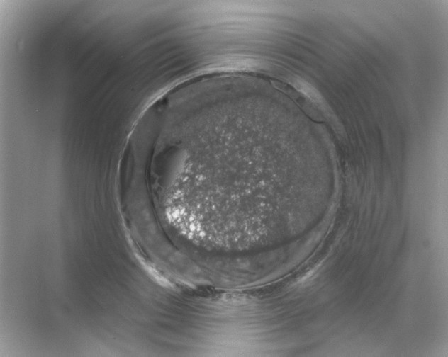 X0000068280842200605121910