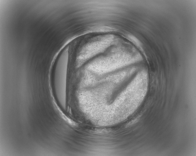 X0000068280843200605121910