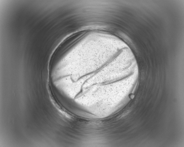 X0000068280844200605121910