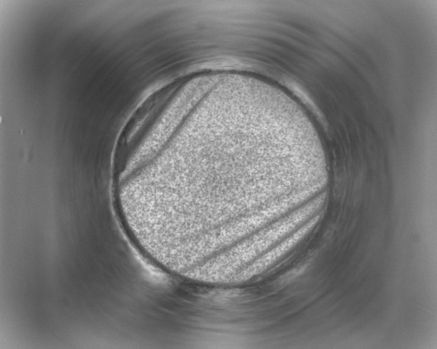 X0000068280845200605121910