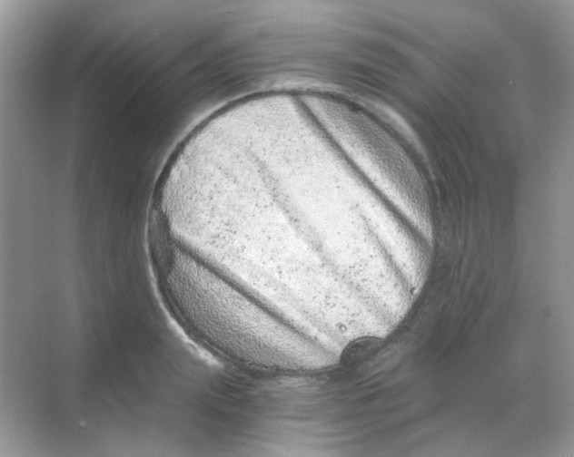 X0000068280847200605121910