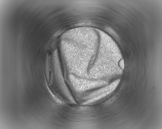 X0000068280849200605121910