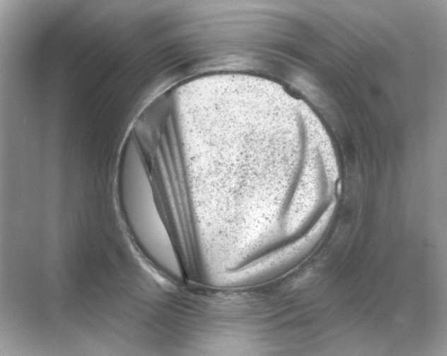 X0000068280850200605121910