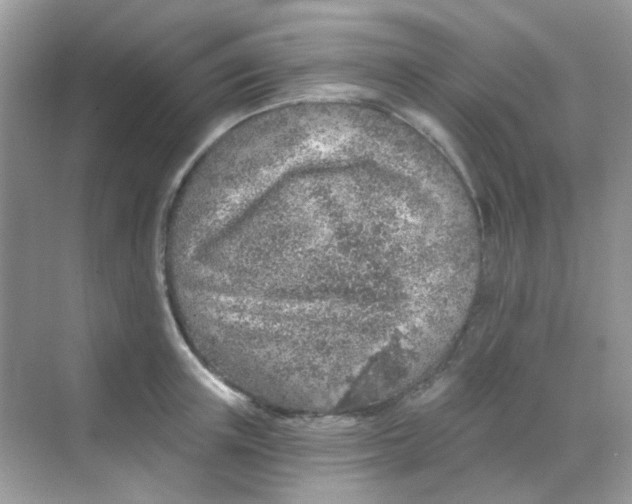 X0000068280851200605121910