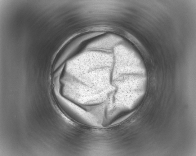 X0000068280852200605121910