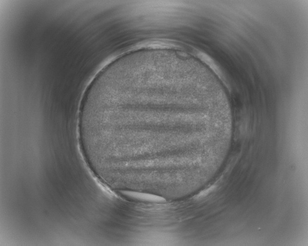 X0000068280853200605121910