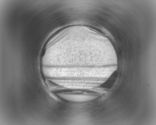 X0000068280854200605121910