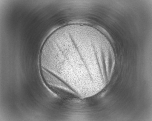 X0000068280855200605121910