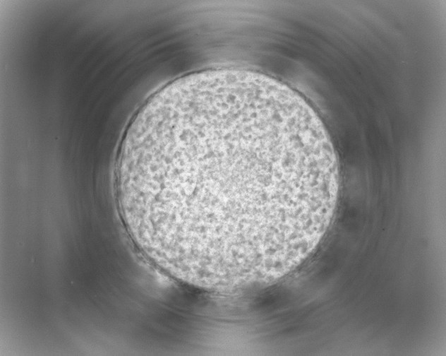 X0000068280856200605121910