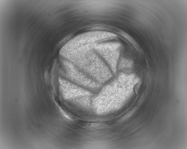 X0000068280857200605121910