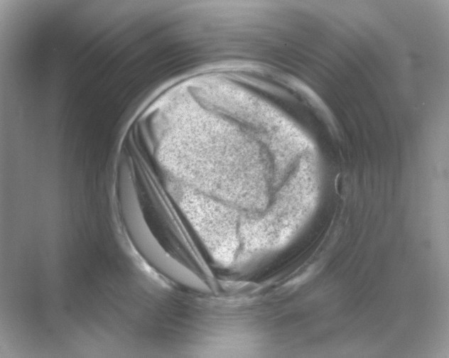 X0000068280860200605121910