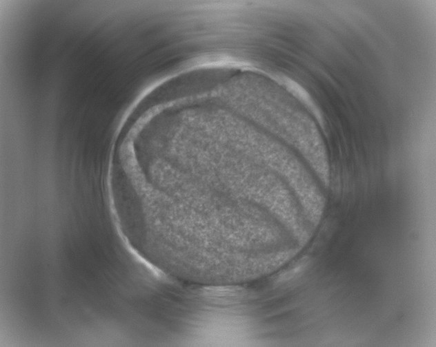 X0000068280863200605121910