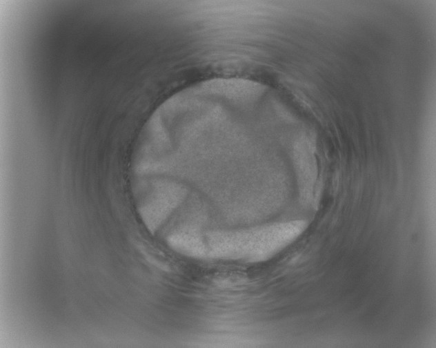 X0000068280865200605121909