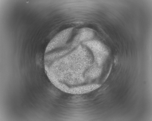 X0000068280867200605121909