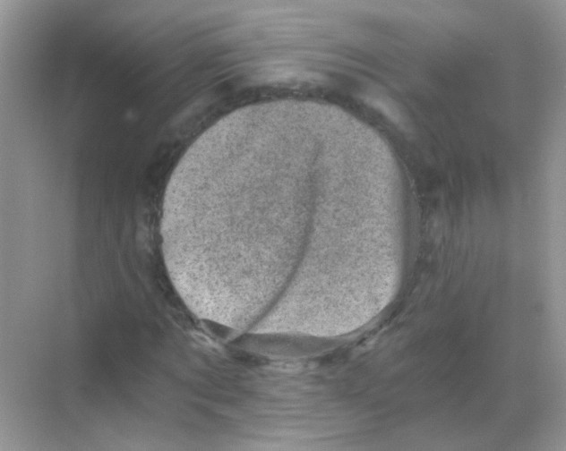 X0000068280869200605121909