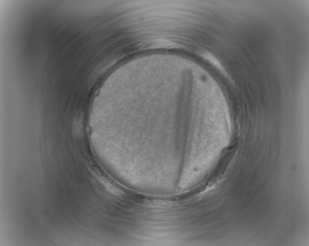 X0000068280873200605121909